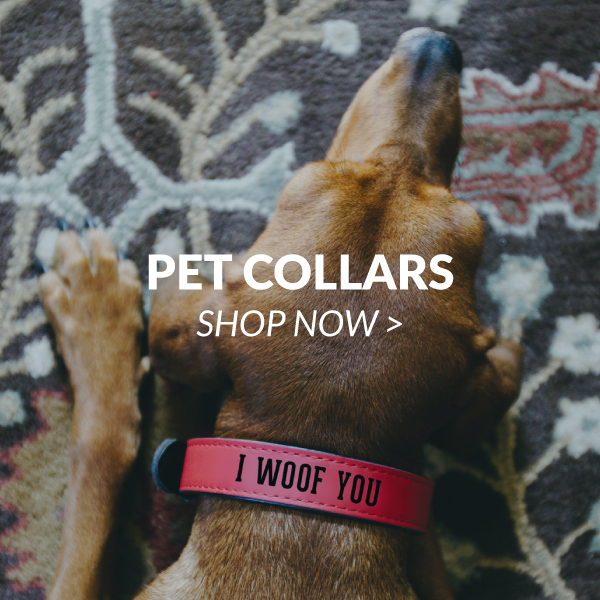 Pet Collars
