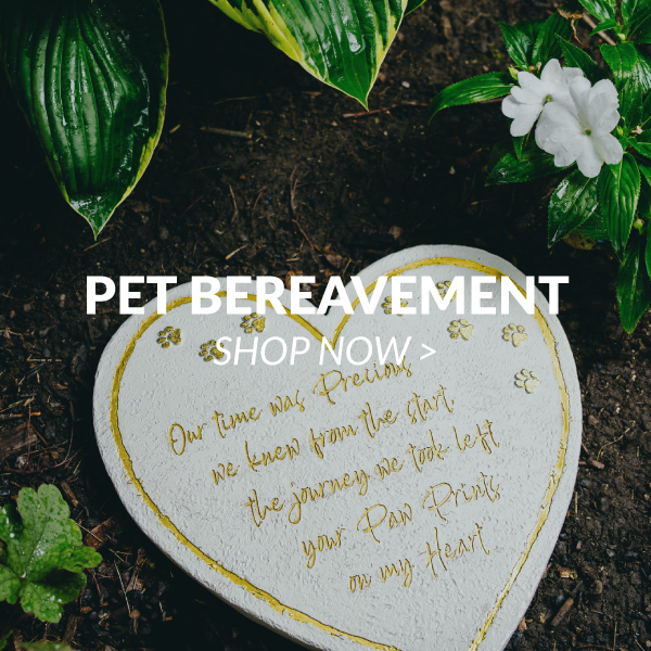 Pet Bereavement