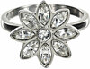 Crystal Flora
in Rhodium by H2Z Made with Swarovski Elements - 