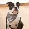 Scene The Boss by Pavilion's Pets - Scene