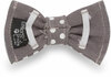 Back Polka Dots Small by Pavilion's Pets - Back