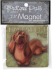 Dachshund by My Pedigree Pals - Package
