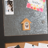 Scene Boston Terrier by Waggy Dogz - Scene