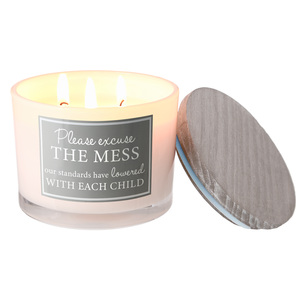 The Mess by A-Parent-ly - 11 oz - 100% Soy Wax Candle
Scent: Fresh Cotton