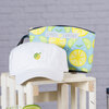 Scene Main Squeeze- Light Blue by Livin' on the Wedge - Scene