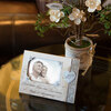 Scene 25th Anniversary by Elements - Scene