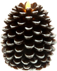 Brown Pine Cone by Pavilion Accessories - 