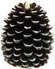 Brown Pine Cone by Pavilion Accessories - Alt