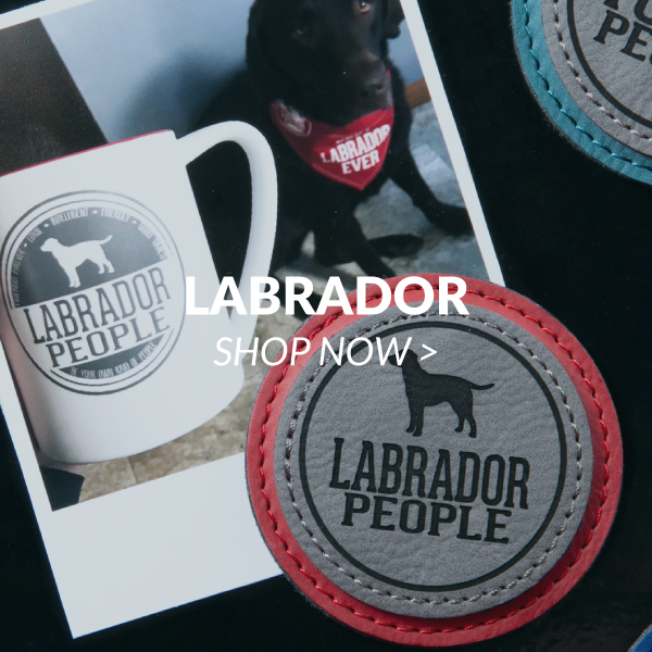 Labrador 