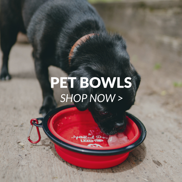 Dog & Cat Bowls