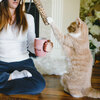 Cat Mom by Good Morning - Scene