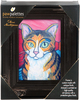 Brown Tabby - Pawcasso by Paw Palettes - Package