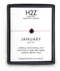 Liza Birthstone January Garnet by H2Z Made with Swarovski Elements - 