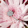 Crystal Flora
in Rhodium by H2Z Made with Swarovski Elements - Scene