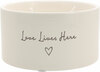 Love Lives Here by Comfort Collection - 