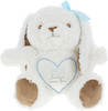 Somebunny Blue Plush by Comfort Collection - 