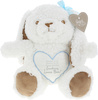 Somebunny Blue Plush by Comfort Collection - Package