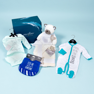 Baby Boy Gift Box by Packaged With Positivity - $120.00 Value