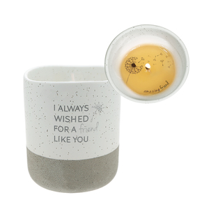 Friend Like You by I Always Wished - 10 oz - 100% Soy Wax Reveal Candle
Scent: Tranquility