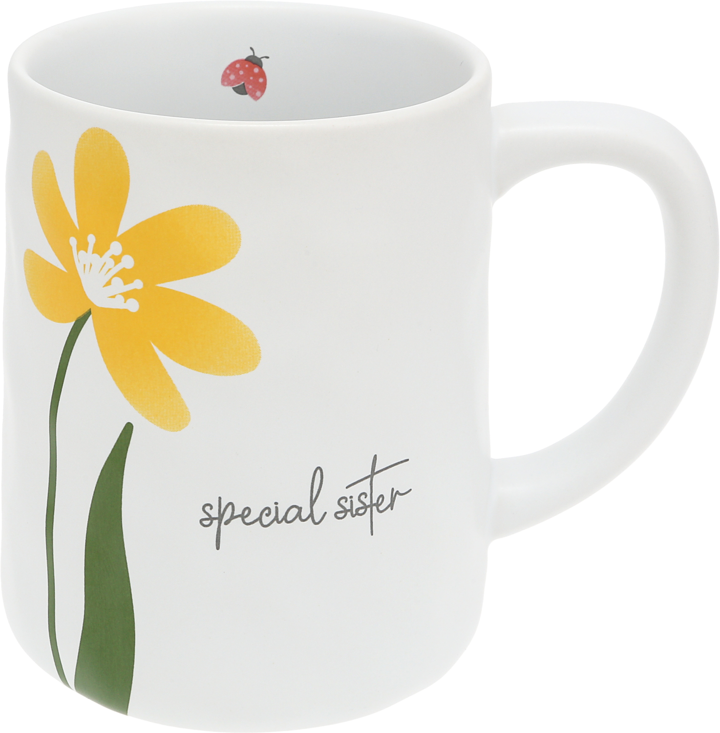 Special Sister by Grateful Garden - Special Sister - 17 oz Mug