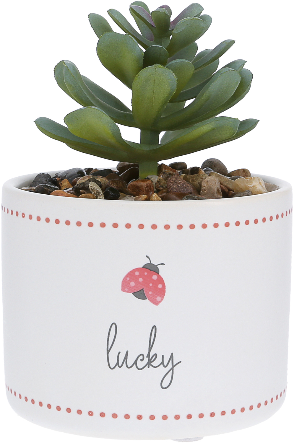 Lucky by Grateful Garden - Lucky - 5" Artificial Potted Plant