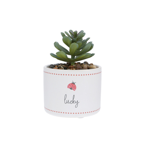 Lucky by Grateful Garden - 5" Artificial Potted Plant