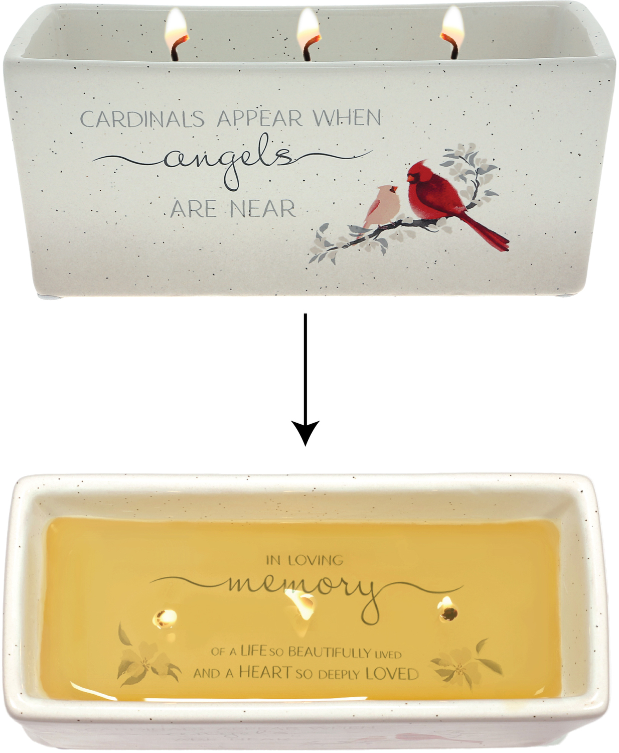 Cardinals Appear by Always by Your Side - Cardinals Appear - 12 oz - 100% Soy Wax Reveal 
Triple Wick Candle
Scent: Tranquility