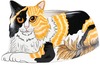 Patches - Calico by Rescue Me Now - 