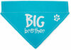 Big Brother by Pavilion's Pets - 