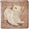 Chihuahua by My Pedigree Pals - 