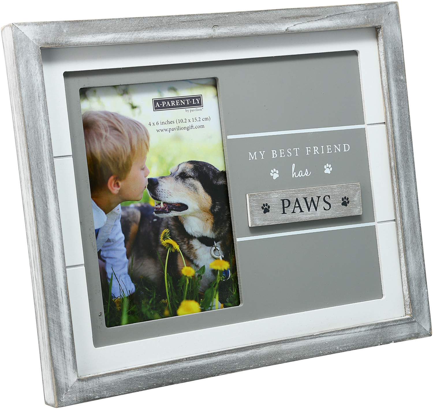 Pet by A-Parent-ly - Pet - 9.75" x 8.25" Frame (Holds 4" x 6" Photo)