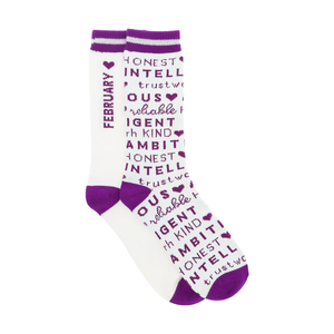 February by You Are a Gem - M/L Unisex Crew Sock