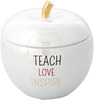Teach Love Inspire by Teachable Moments - Alt