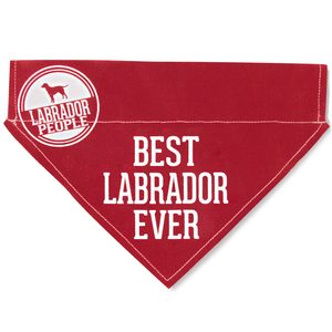Best Labrador by We Pets - 12" x 8" Canvas Slip on Pet Bandana
