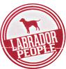 Best Labrador by We Pets - CloseUp