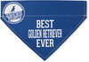 Best Golden Retriever by We Pets - 