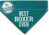 Best Boxer by We Pets - 