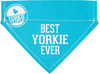 Best Yorkie by We Pets - 