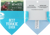 Best Yorkie by We Pets - Package