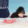 Beach Dog by We Pets - Scene
