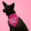Birthday Girl by We Pets - Scene