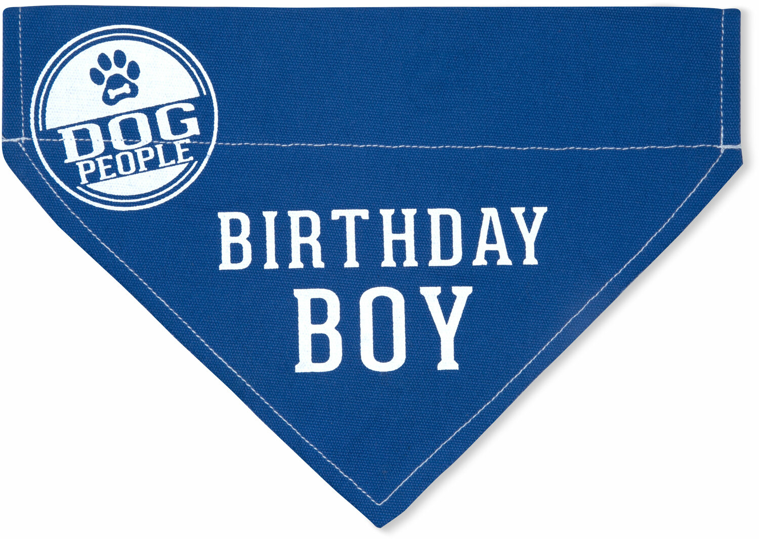 Birthday Boy by We Pets - Birthday Boy - 12" x 8" Canvas Slip on Pet Bandana