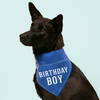 Birthday Boy by We Pets - Model