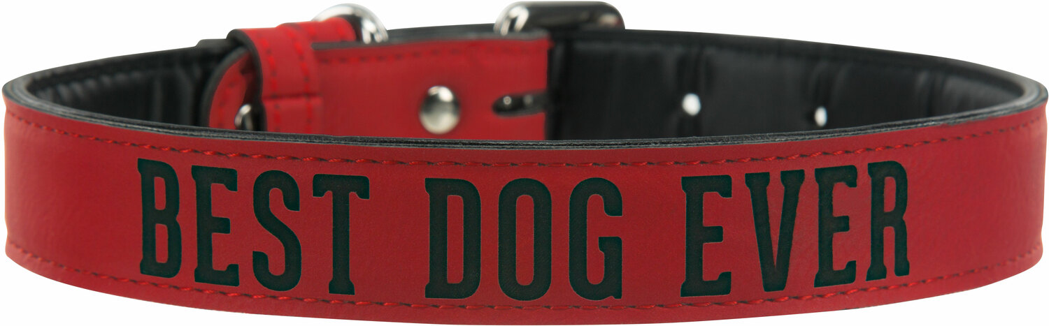 S/M Best Dog by We Pets - S/M Best Dog -  16" PU Leather Pet Collar