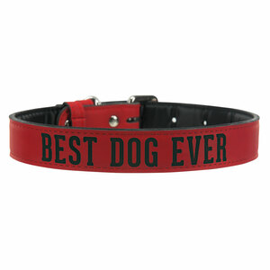 S/M Best Dog by We Pets -  16" PU Leather Pet Collar