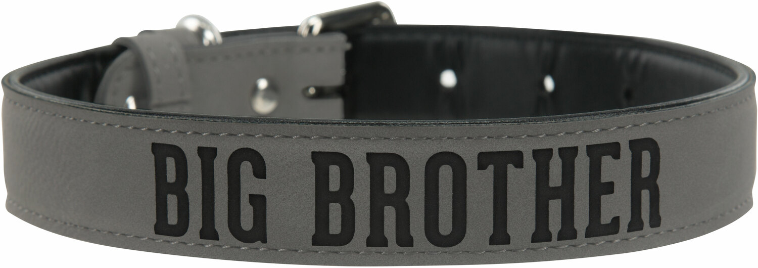 S/M Big Brother by We Pets - S/M Big Brother -  16" PU Leather Pet Collar