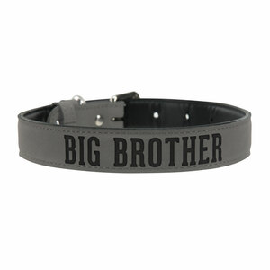 S/M Big Brother by We Pets -  16" PU Leather Pet Collar