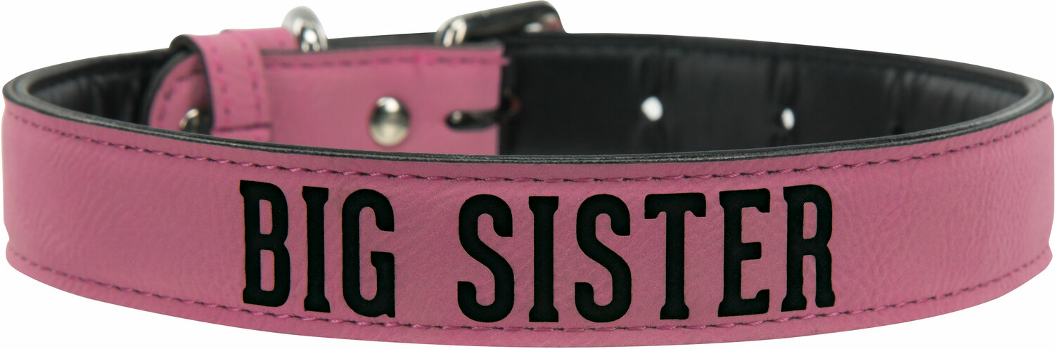 S/M Big Sister by We Pets - S/M Big Sister -  16" PU Leather Pet Collar