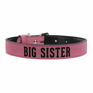 S/M Big Sister by We Pets -  16" PU Leather Pet Collar