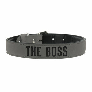 S/M Boss by We Pets -  16" PU Leather Pet Collar